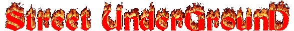 sud_flaming_logo4344_60.gif